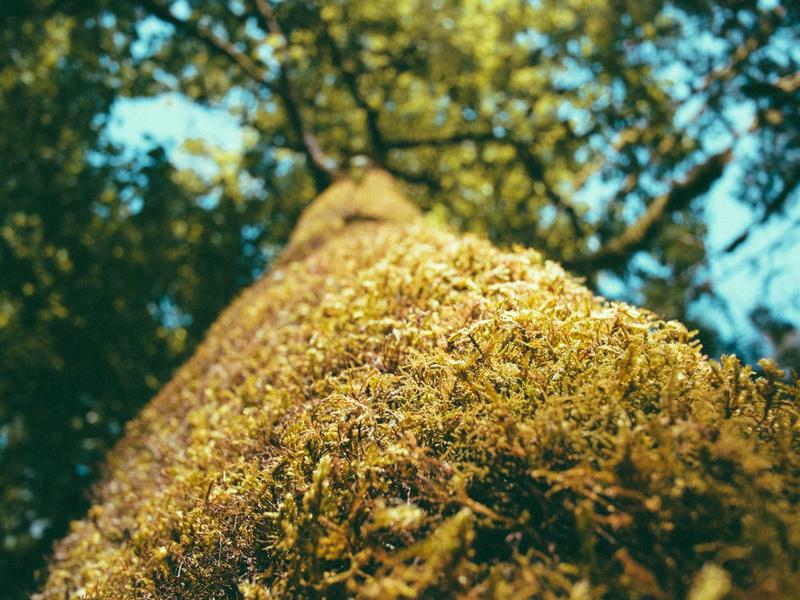 拳头账号全套教程<br>注册/分区/养号/换绑/交易一站式